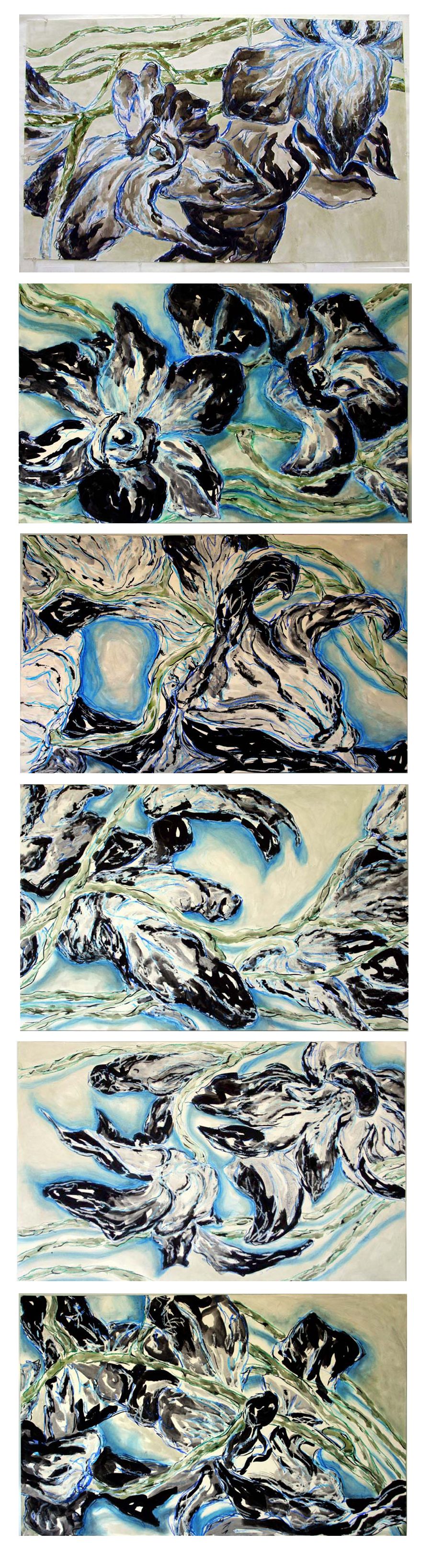 A series of mixed media paintings with charcoal, graphite, and acrylic paint depicting abstract flowers